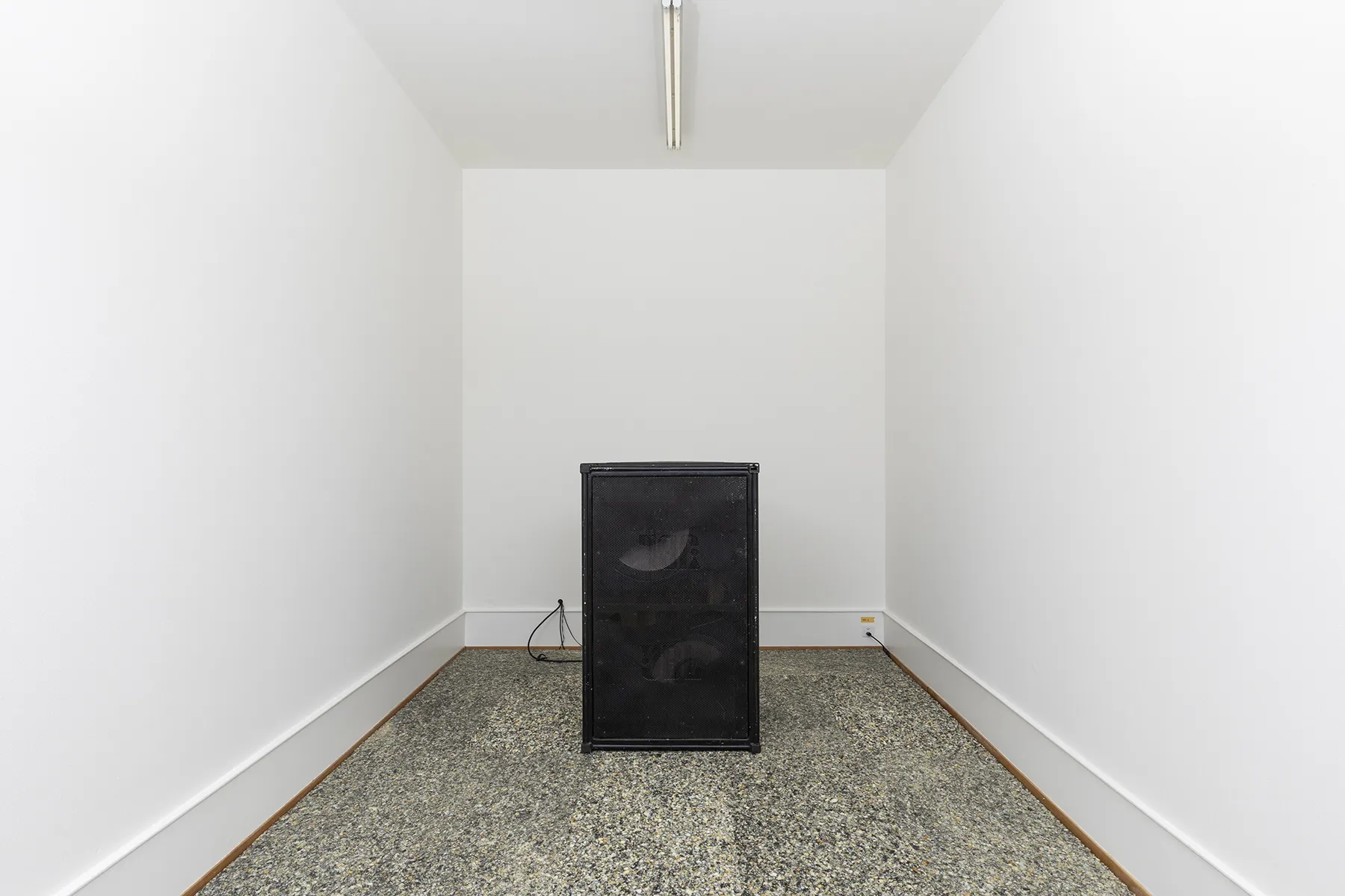 Solo Mute Pan — Olga Kokcharova, Laurent Güdel & Guests — Exhibition view — Credit: Guadalupe Ruiz