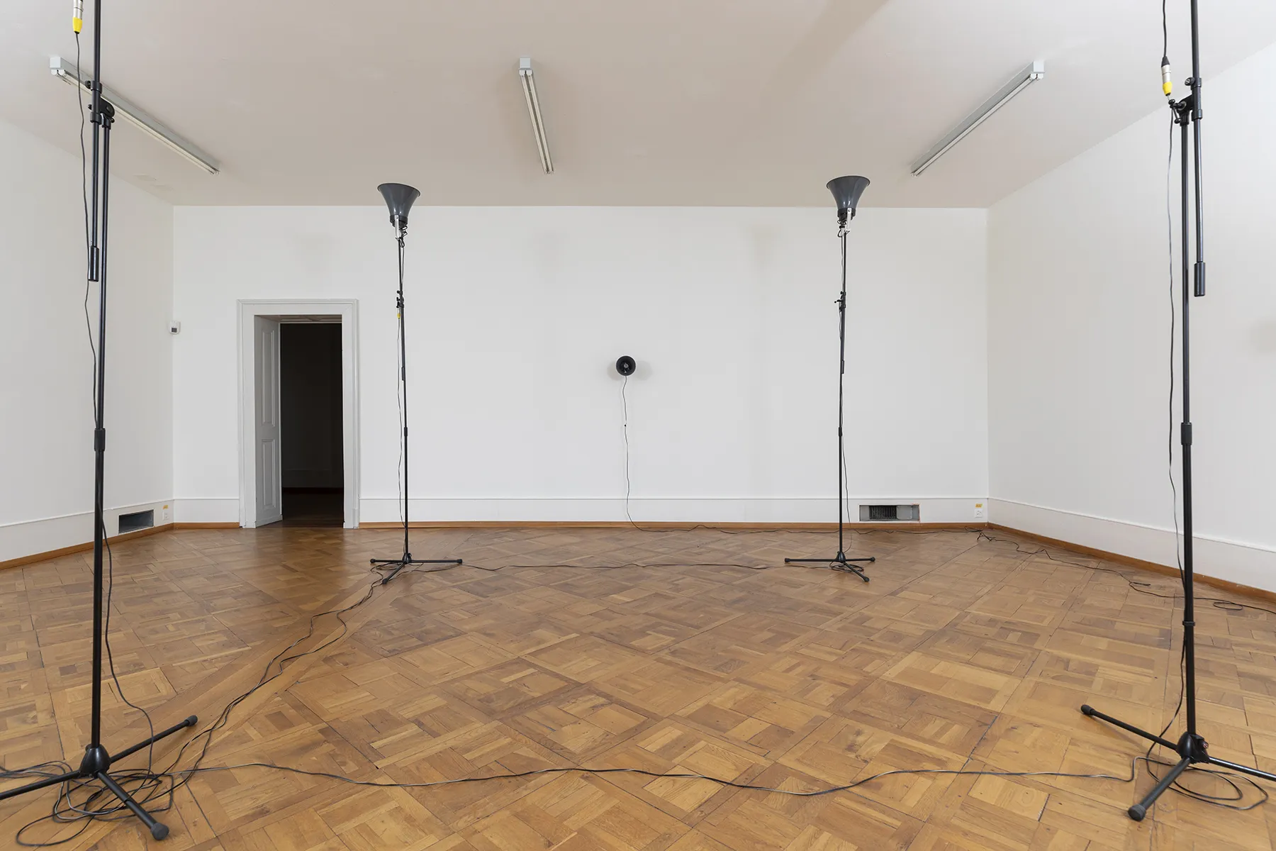 Solo Mute Pan — Olga Kokcharova, Laurent Güdel & Guests — Exhibition view — Credit: Guadalupe Ruiz