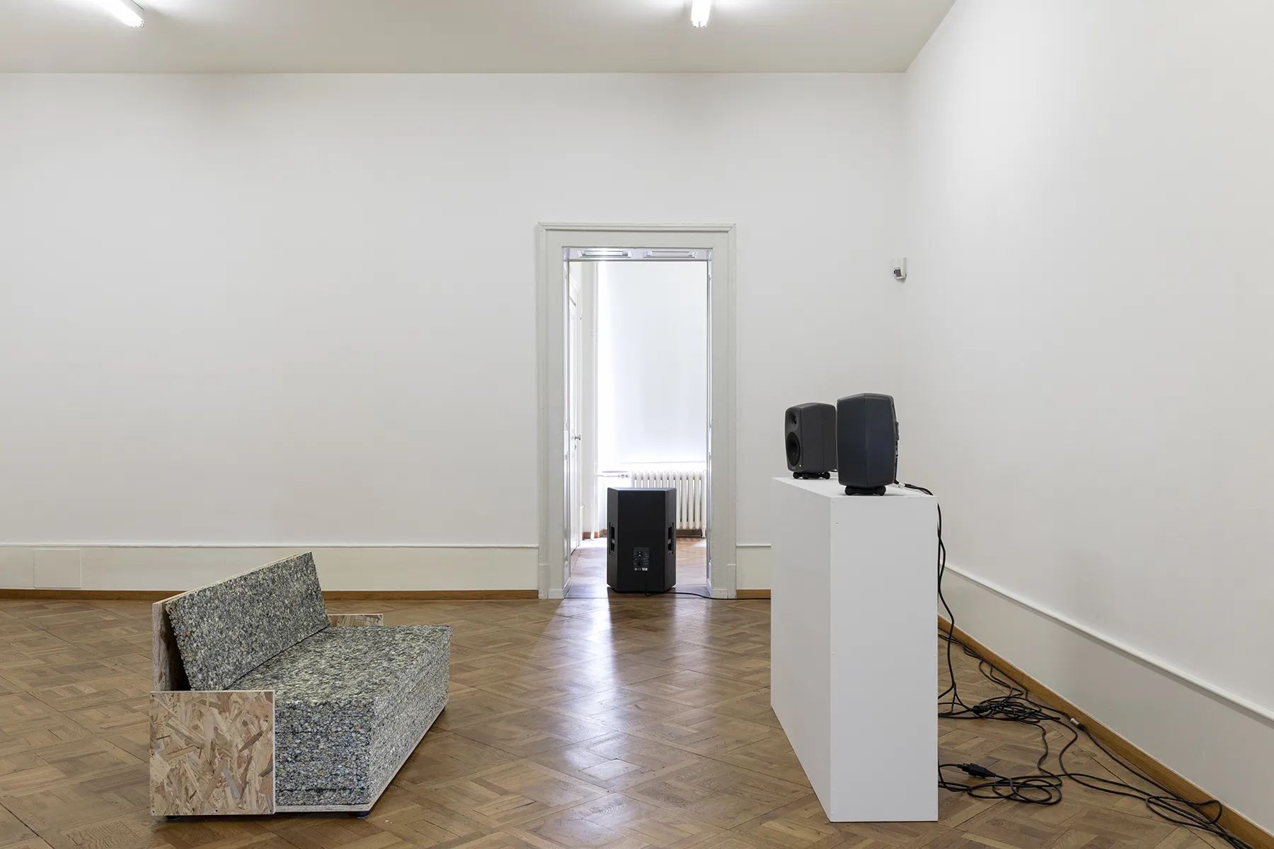 Solo Mute Pan — Olga Kokcharova, Laurent Güdel & Guests — Exhibition view — Credit: Guadalupe Ruiz